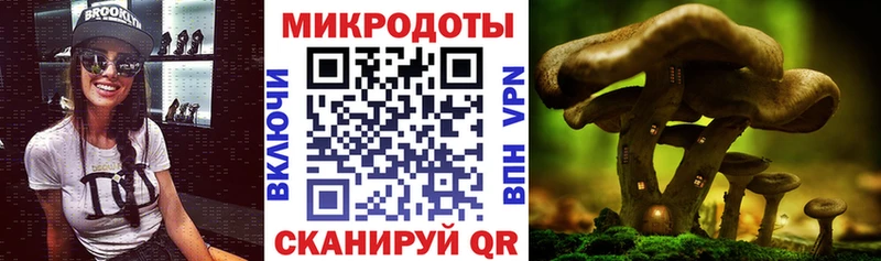 кракен зеркало  Балашов  Псилоцибиновые грибы Magic Shrooms 